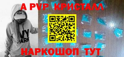 СК Кингисепп