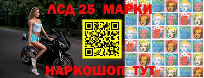 СК Кингисепп