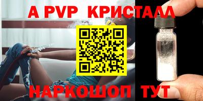 СК Кингисепп