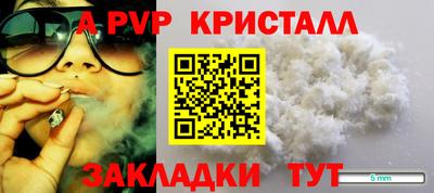 СК Кингисепп