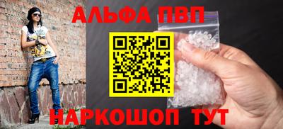 СК Кингисепп