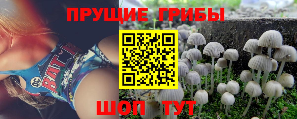 Галлюциногенные грибы Magic Shrooms  Вход с VPN  Королёв 